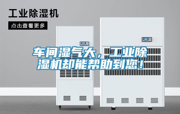 車間濕氣大，工業(yè)除濕機(jī)卻能幫助到您！
