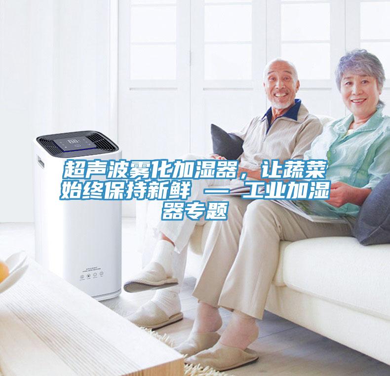 超聲波霧化加濕器，讓蔬菜始終保持新鮮 — 工業(yè)加濕器專題
