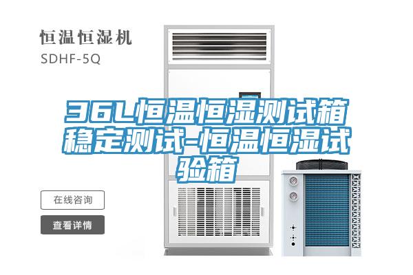 36L恒溫恒濕測試箱穩(wěn)定測試-恒溫恒濕試驗箱
