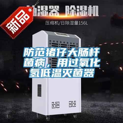 防范豬仔大腸桿菌病，用過氧化氫低溫滅菌器