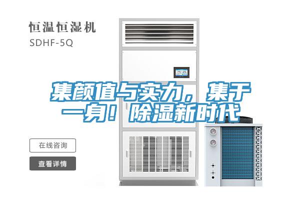 集顏值與實(shí)力，集于一身！除濕新時(shí)代