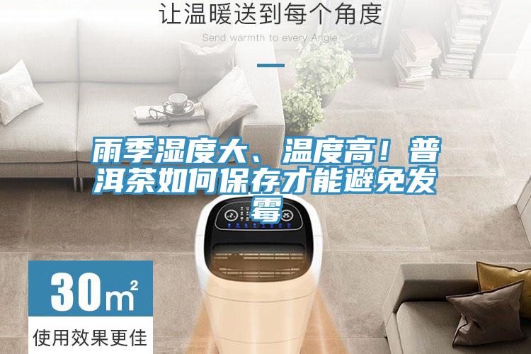 雨季濕度大、溫度高！普洱茶如何保存才能避免發(fā)霉