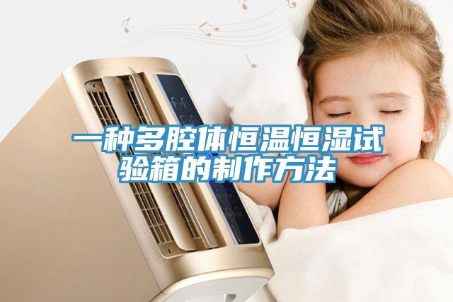 一種多腔體恒溫恒濕試驗(yàn)箱的制作方法