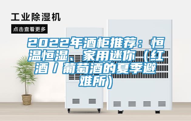 2022年酒柜推薦：恒溫恒濕、家用迷你（紅酒／葡萄酒的夏季避難所）