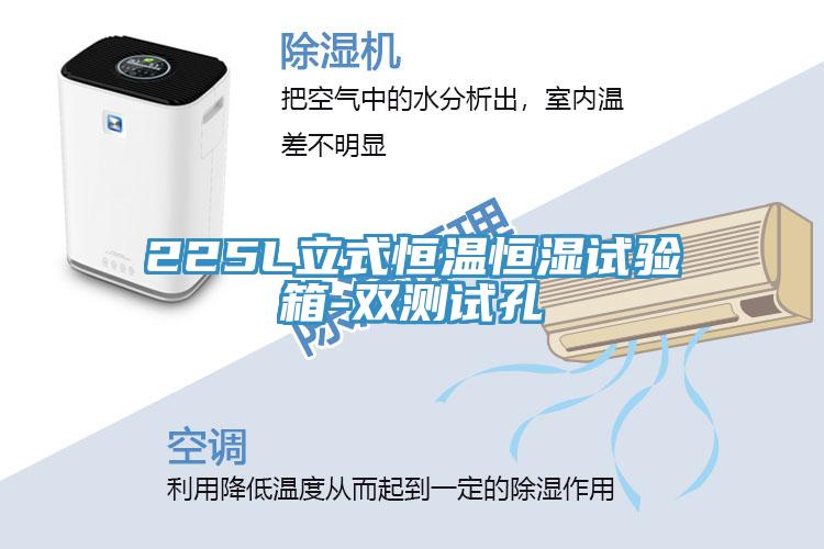 225L立式恒溫恒濕試驗(yàn)箱-雙測(cè)試孔