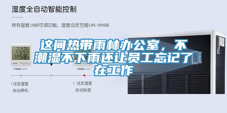 這間熱帶雨林辦公室，不潮濕不下雨還讓員工忘記了在工作