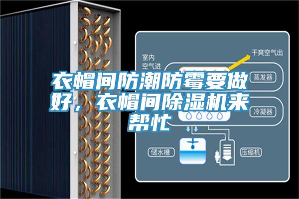 衣帽間防潮防霉要做好，衣帽間除濕機(jī)來(lái)幫忙
