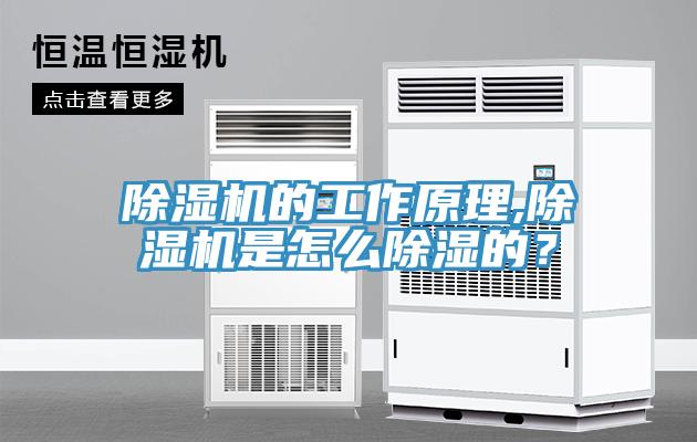 除濕機(jī)的工作原理,除濕機(jī)是怎么除濕的？