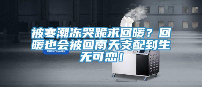 被寒潮凍哭跪求回暖？回暖也會被回南天支配到生無可戀！