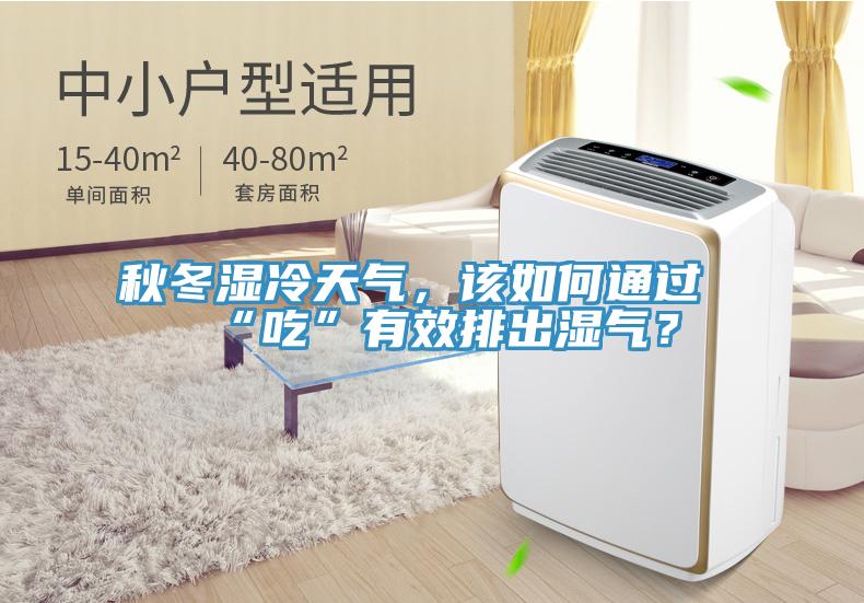 秋冬濕冷天氣，該如何通過“吃”有效排出濕氣？