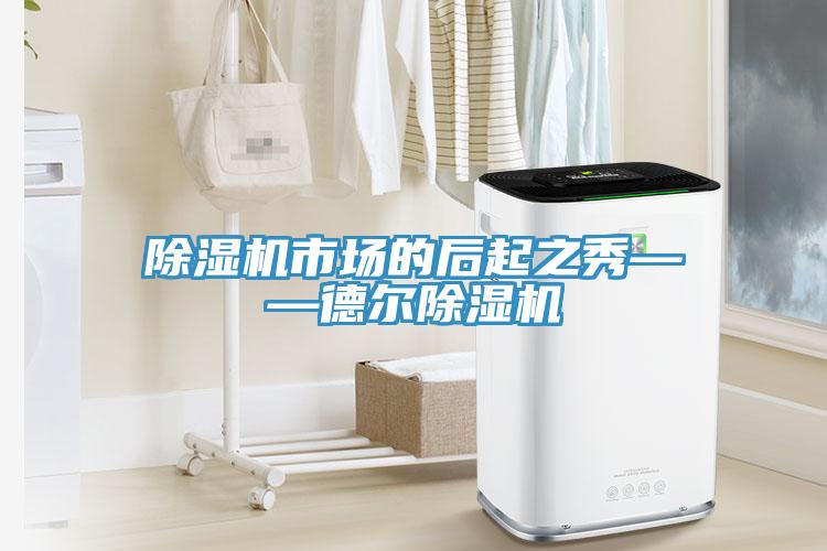 除濕機市場的后起之秀——德爾除濕機