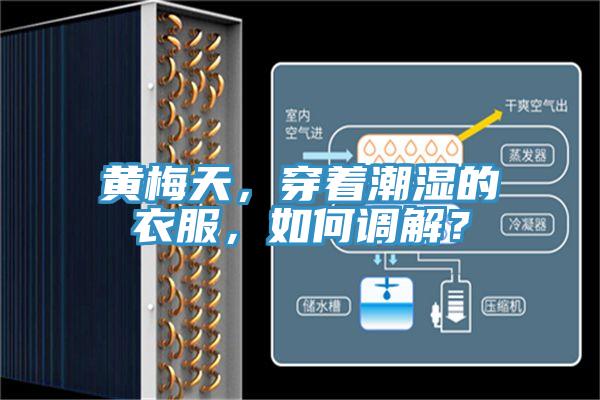 黃梅天，穿著潮濕的衣服，如何調(diào)解？