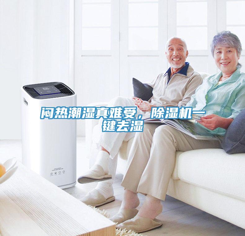 悶熱潮濕真難受，除濕機一鍵去濕