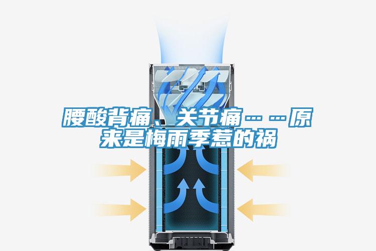 腰酸背痛、關(guān)節(jié)痛……原來是梅雨季惹的禍