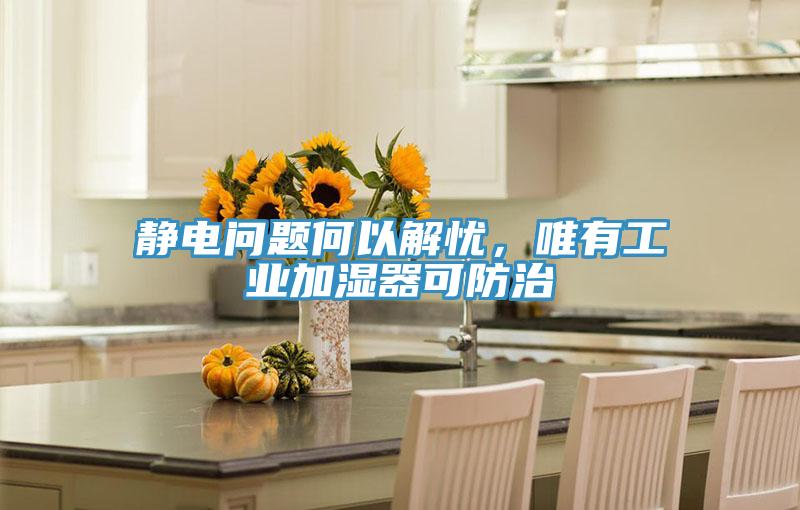 靜電問題何以解憂，唯有工業(yè)加濕器可防治