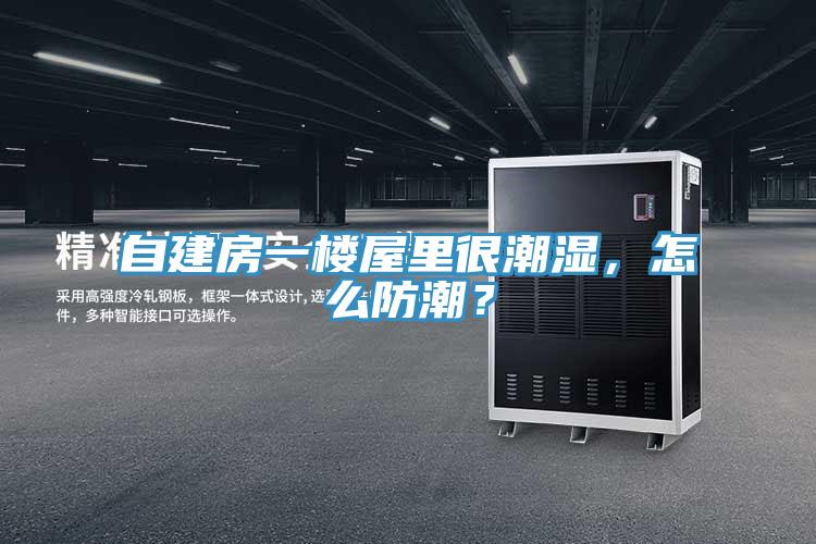 自建房一樓屋里很潮濕，怎么防潮？