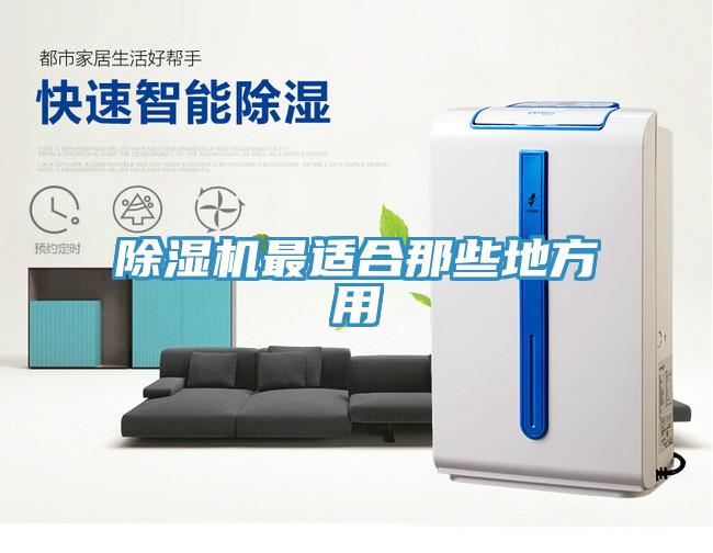 除濕機(jī)最適合那些地方用