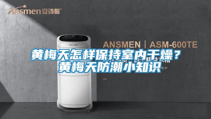 黃梅天怎樣保持室內(nèi)干燥？ 黃梅天防潮小知識(shí)