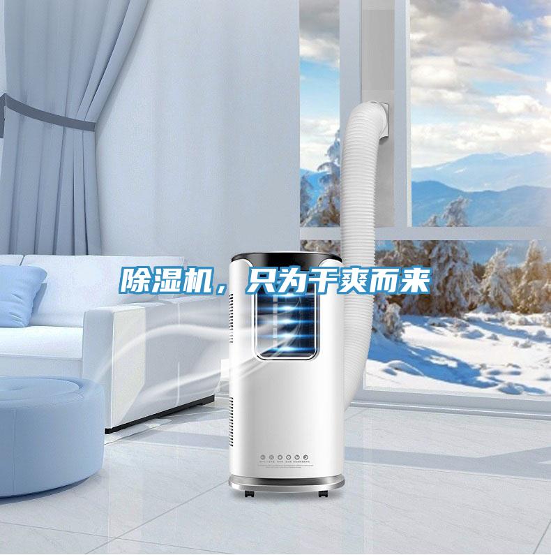 除濕機，只為干爽而來