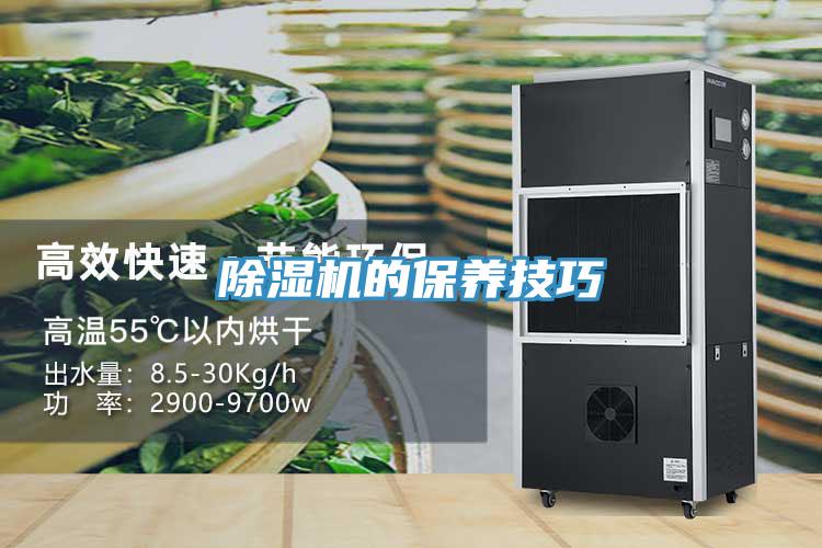 除濕機(jī)的保養(yǎng)技巧