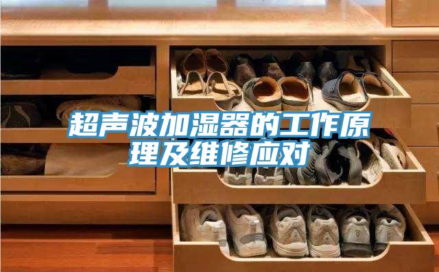 超聲波加濕器的工作原理及維修應(yīng)對
