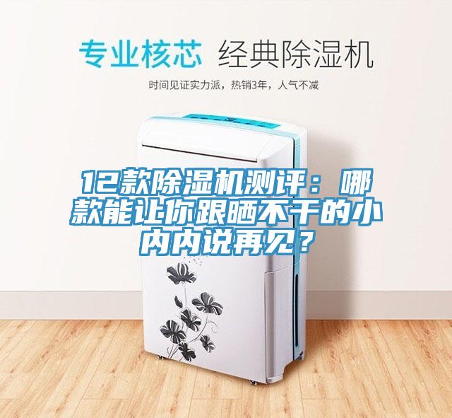 12款除濕機(jī)測(cè)評(píng)：哪款能讓你跟曬不干的小內(nèi)內(nèi)說(shuō)再見？