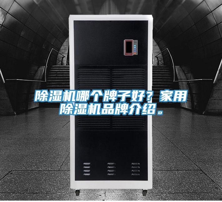 除濕機哪個牌子好？家用除濕機品牌介紹。
