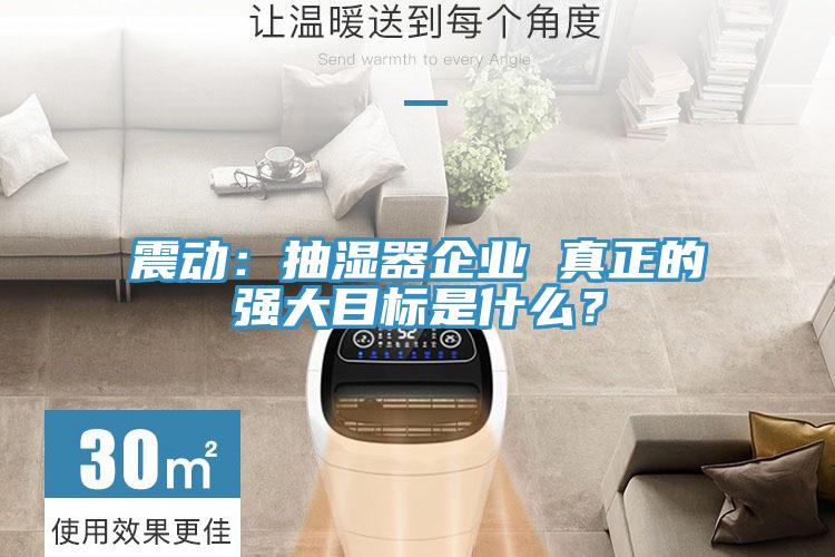 震動(dòng)：抽濕器企業(yè) 真正的強(qiáng)大目標(biāo)是什么？