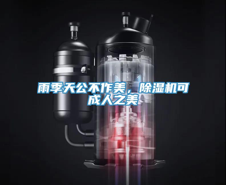 雨季天公不作美，除濕機可成人之美