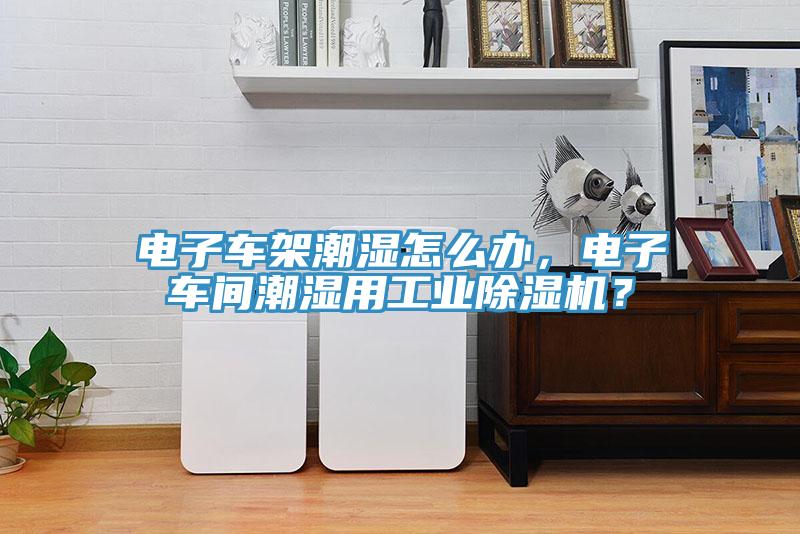 電子車架潮濕怎么辦，電子車間潮濕用工業(yè)除濕機(jī)？