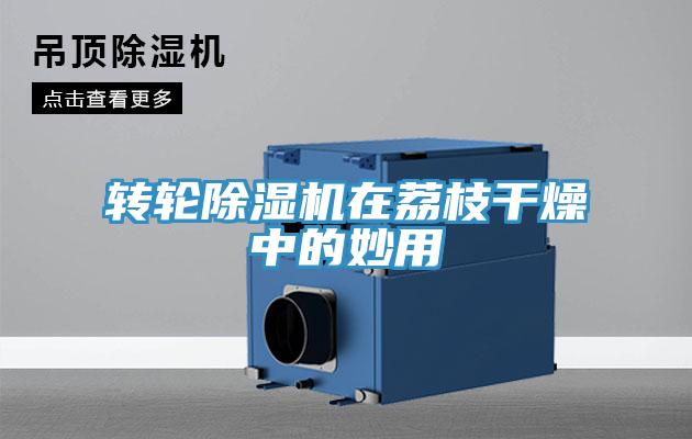 轉(zhuǎn)輪除濕機(jī)在荔枝干燥中的妙用