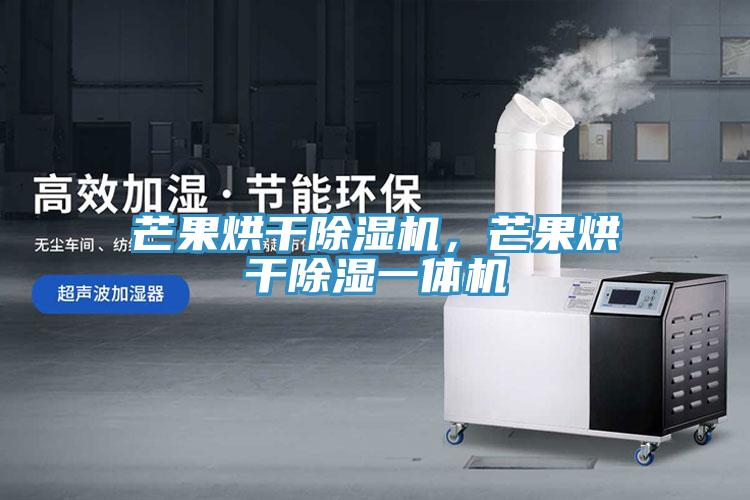芒果烘干除濕機(jī)，芒果烘干除濕一體機(jī)