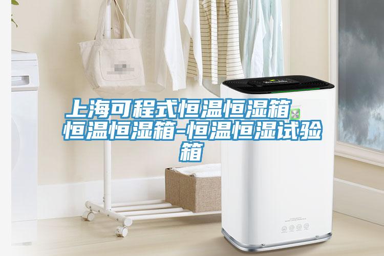 上?？沙淌胶銣睾銤裣? 恒溫恒濕箱-恒溫恒濕試驗(yàn)箱