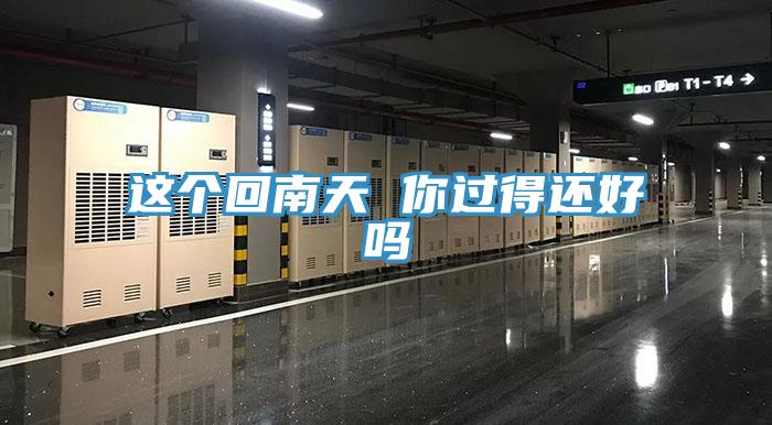 這個(gè)回南天 你過得還好嗎