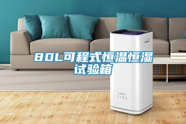 80L可程式恒溫恒濕試驗(yàn)箱