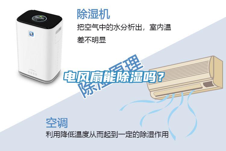 電風扇能除濕嗎？
