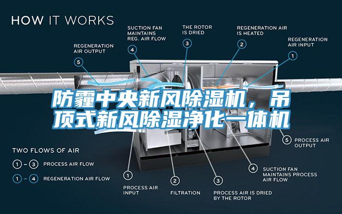 防霾中央新風(fēng)除濕機，吊頂式新風(fēng)除濕凈化一體機