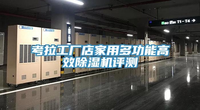 考拉工廠店家用多功能高效除濕機(jī)評測