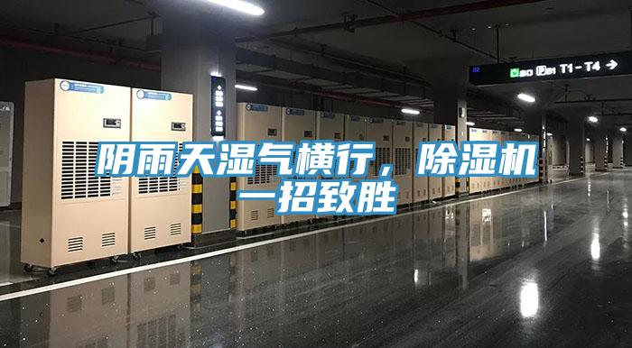 陰雨天濕氣橫行，除濕機(jī)一招致勝