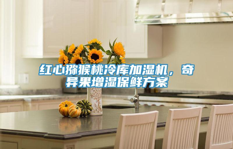 紅心獼猴桃冷庫加濕機，奇異果增濕保鮮方案
