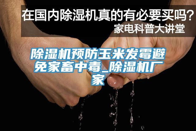 除濕機(jī)預(yù)防玉米發(fā)霉避免家畜中毒_除濕機(jī)廠家