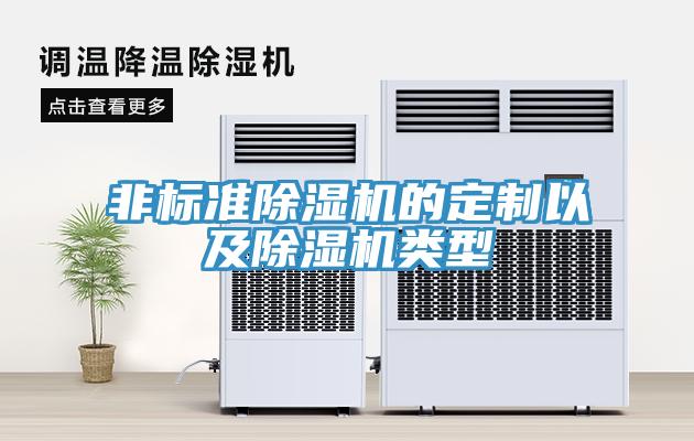 非標(biāo)準(zhǔn)除濕機的定制以及除濕機類型