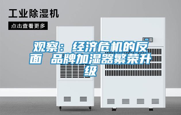 觀(guān)察：經(jīng)濟(jì)危機(jī)的反面 品牌加濕器繁榮升級(jí)