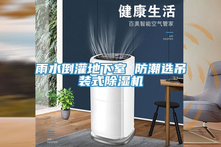 雨水倒灌地下室 防潮選吊裝式除濕機(jī)