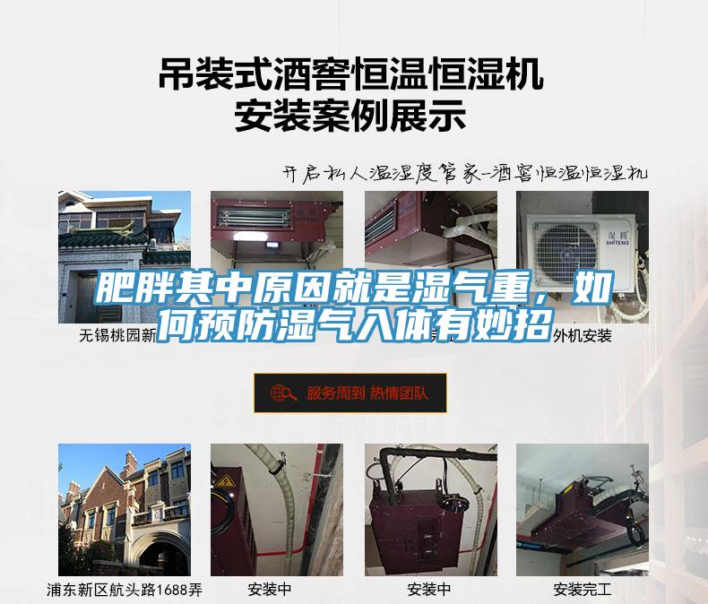 肥胖其中原因就是濕氣重，如何預(yù)防濕氣入體有妙招