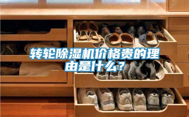 轉(zhuǎn)輪除濕機(jī)價格貴的理由是什么？