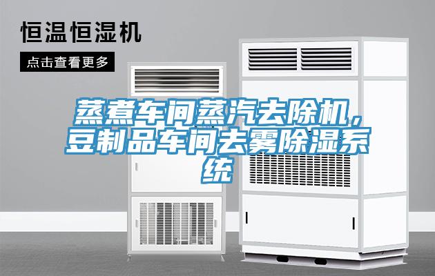 蒸煮車間蒸汽去除機(jī)，豆制品車間去霧除濕系統(tǒng)