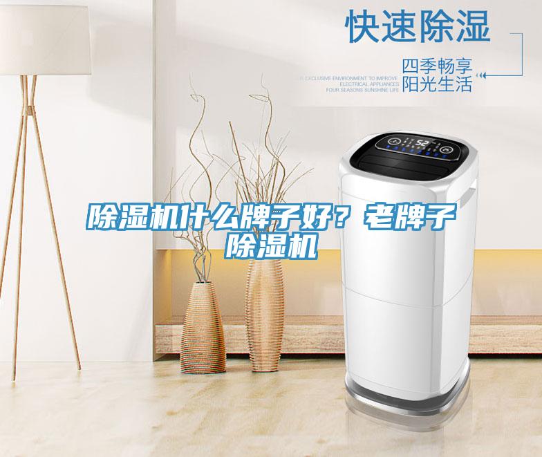 除濕機什么牌子好？老牌子除濕機