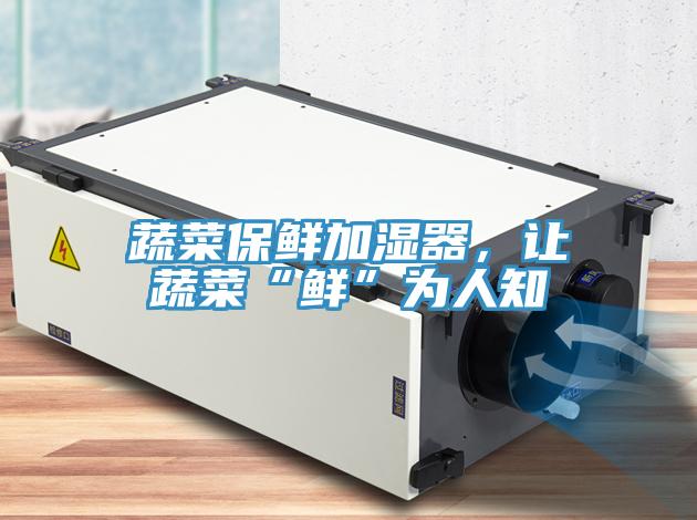 蔬菜保鮮加濕器，讓蔬菜“鮮”為人知
