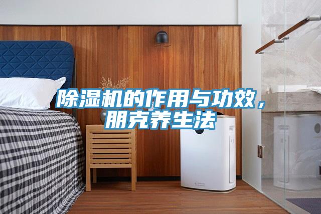 除濕機(jī)的作用與功效，朋克養(yǎng)生法